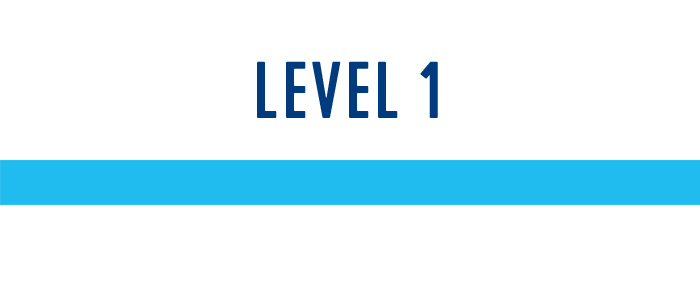 Text graphic with "LEVEL 1" written in blue capital letters, accompanied by a horizontal blue line underneath, indicating a status or progression level.