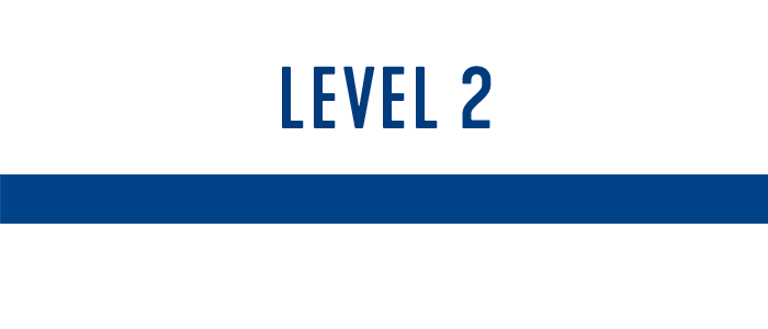 Text graphic with "LEVEL 2" written in dark blue capital letters, accompanied by a horizontal dark blue line underneath, indicating a progression or hierarchy level.